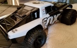 rcRobbie_foxy1