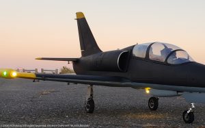 URCG Edition - Freewing RC Aero L-39 Albatros EDF - Black, Yellow Tips, Silver Intakes, Gray belly - named Black Magic