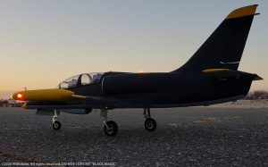 URCG Edition - Freewing RC Aero L-39 Albatros EDF - Black, Yellow Tips, Silver Intakes, Gray belly - named Black Magic